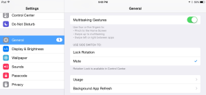 ipad multitasking gestures